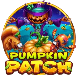 Pumpkin Patch