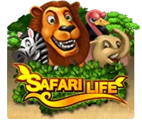 Safari Life