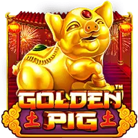 Golden Pig